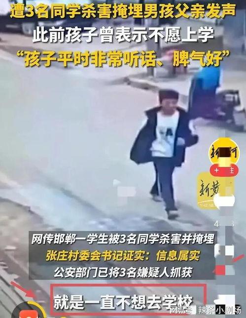 邯郸事件最新爆料,惊人内幕曝光,真相令人震惊!  第2张 邯郸事件最新爆料,惊人内幕曝光,真相令人震惊!  第2张