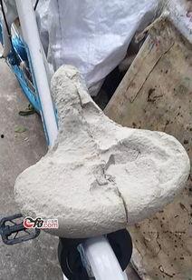 英德共享单车最新爆料,揭秘行业最新爆料与未来趋势