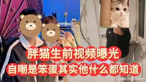 笨蛋最新爆料视频大全,视频大全背后的惊人真相  第2张 笨蛋最新爆料视频大全,视频大全背后的惊人真相  第2张