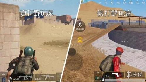 吃鸡沙漠爆料视频大全集,吃鸡爆料视频大全集深度解析