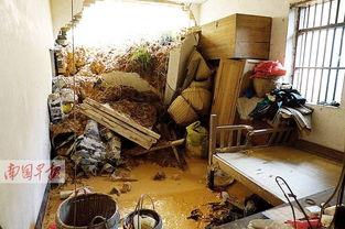 石头镇最新爆料,揭秘神秘事件背后的惊人真相  第3张 石头镇最新爆料,揭秘神秘事件背后的惊人真相  第3张