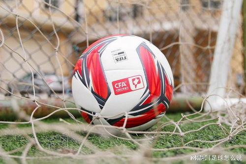 足坛记者爆料视频大全,揭秘足球圈幕后故事  第2张