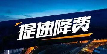 藏龙岛今日爆料,神秘事件揭开神秘面纱  第2张