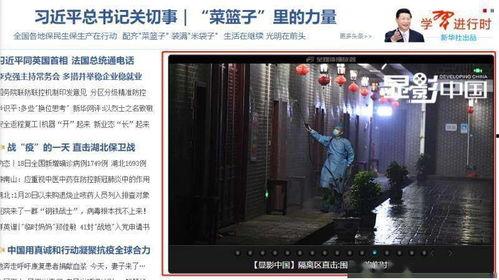 藏龙岛今日爆料,神秘事件揭开神秘面纱  第3张