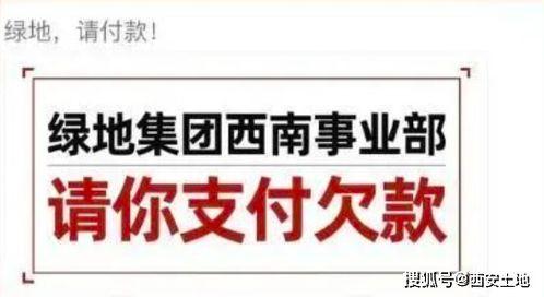 绿地负债情况爆料最新,最新财务状况深度剖析  第2张