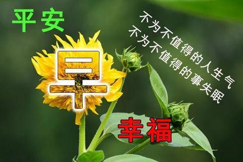 早安最新爆料图片大全集,最新图片大全集精彩瞬间回顾  第2张