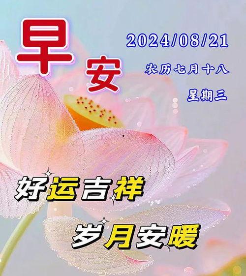 早安最新爆料图片大全集,最新图片大全集精彩瞬间回顾  第3张