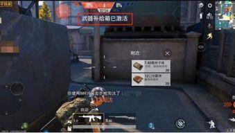 和平精英最新爆料十一月,神秘新内容即将揭晓，敬请期待！  第2张