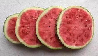 我爱吃瓜官网免费吃瓜在线,我爱吃瓜官网带你开启甜蜜之旅  第3张