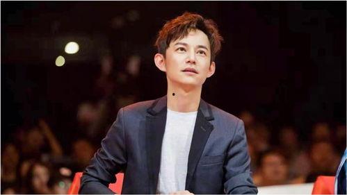 娱乐圈明星综艺爆料,揭秘明星背后的故事与真相  第3张