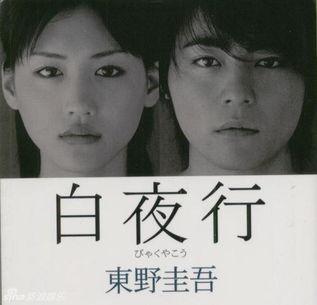 白夜行日剧在线观看,探寻黑暗中的光明救赎之旅  第2张