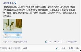 怎么拍爆料视频照片,如何捕捉瞬间，记录真相  第3张